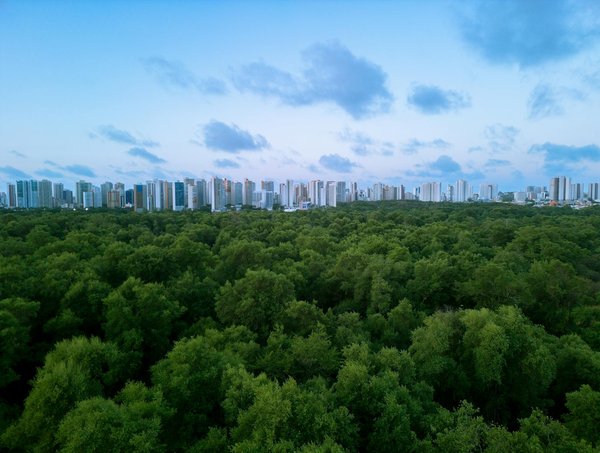 Guide Pratique pour Devenir Consultant en Transformation Digitale : Stratégies et Préparations Essentielles